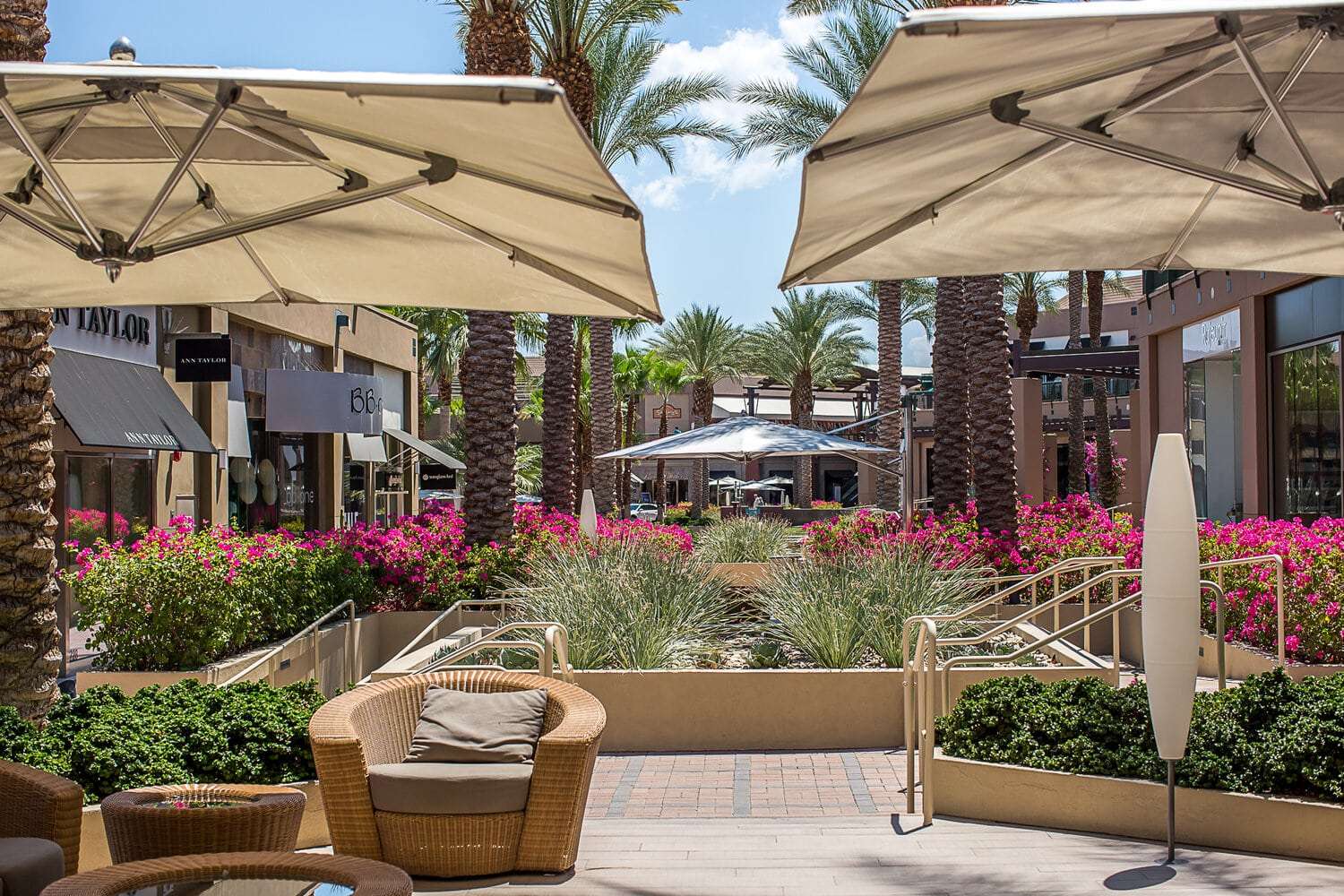 Photo of The Gardens on El Paseo