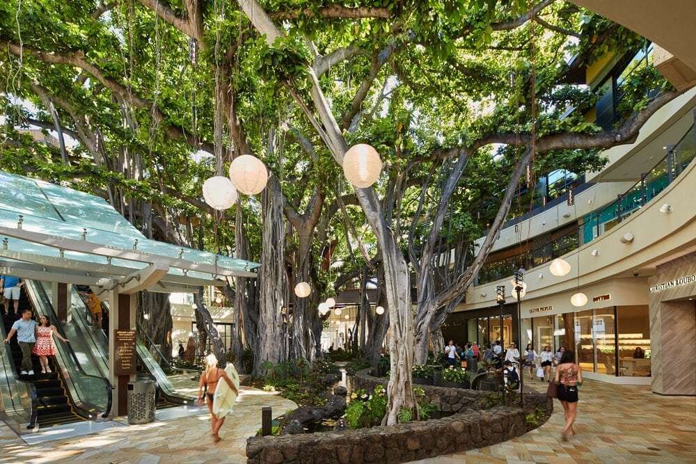 Photo of International Market Place